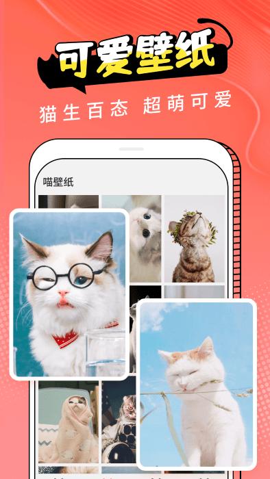 pet猫翻译app下载,pet猫翻译,翻译app,趣味app
