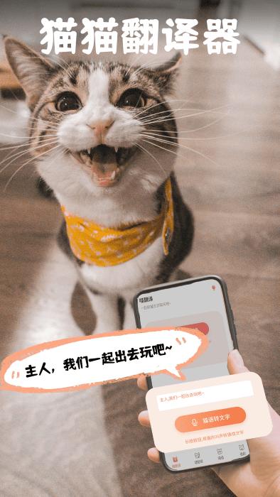 pet猫翻译app下载,pet猫翻译,翻译app,趣味app